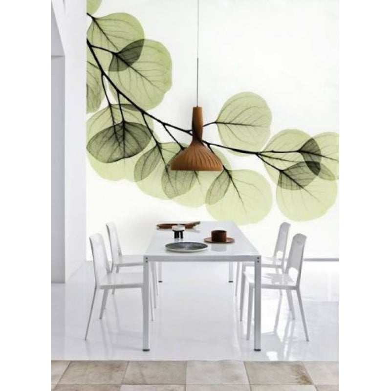 Ideas para redecorar tu oficina y estrenar imagen en el nuevo año