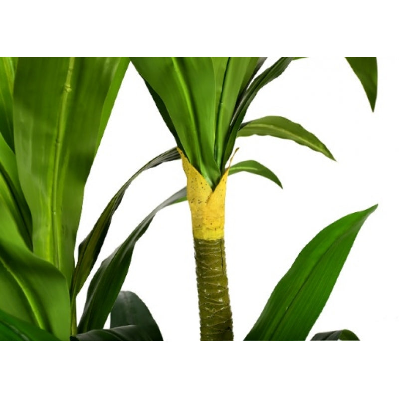 Planta artificial Dracena H180