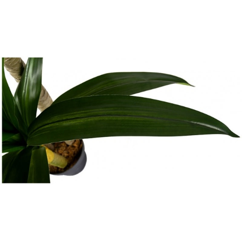 Planta artificial Dracena H180