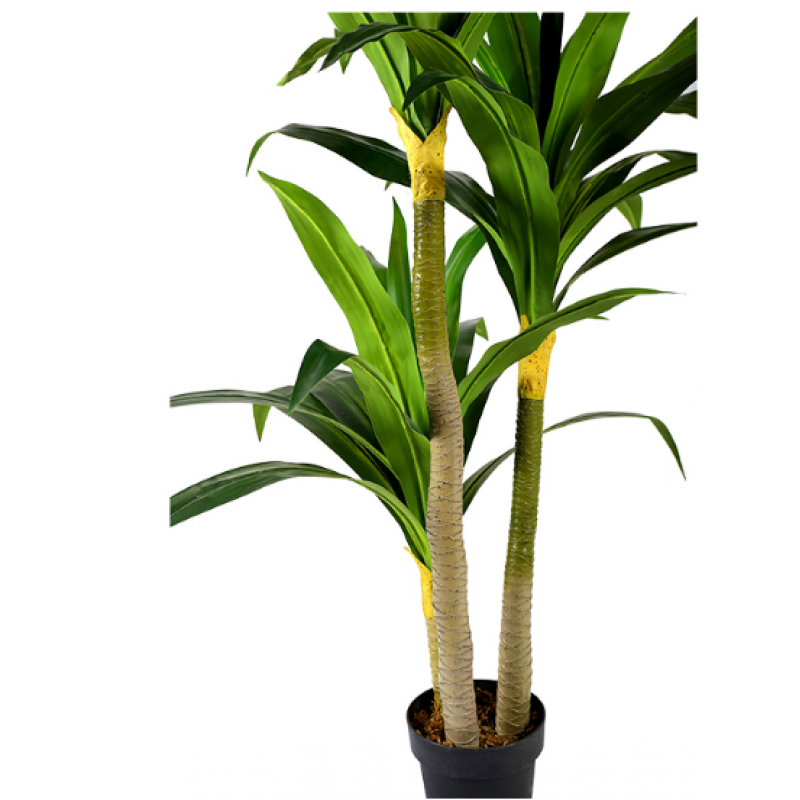 Planta artificial Dracena H180