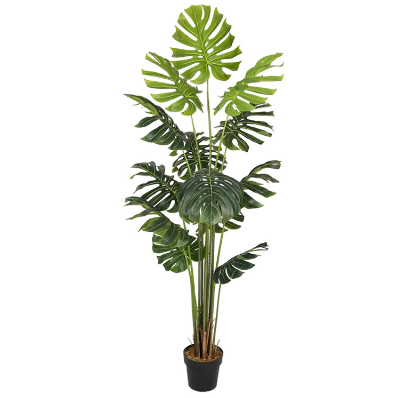 Planta artificial Monstera Philo 180