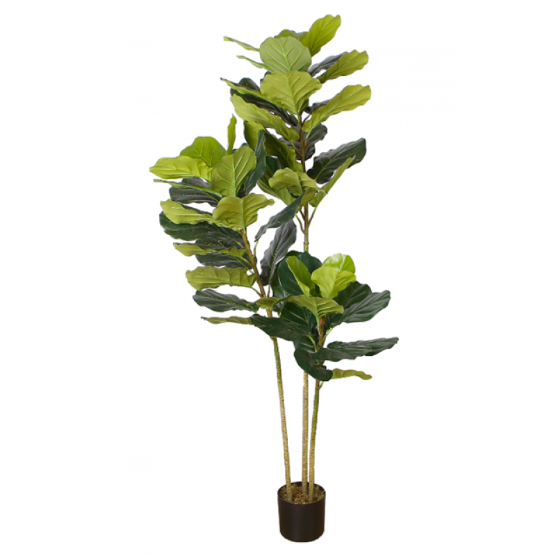 Plante artificielle Ficus 175