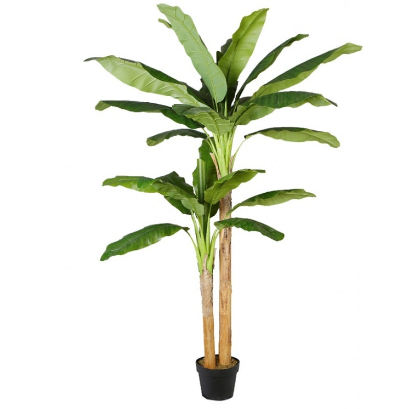 Planta Bananera artificial altura 205