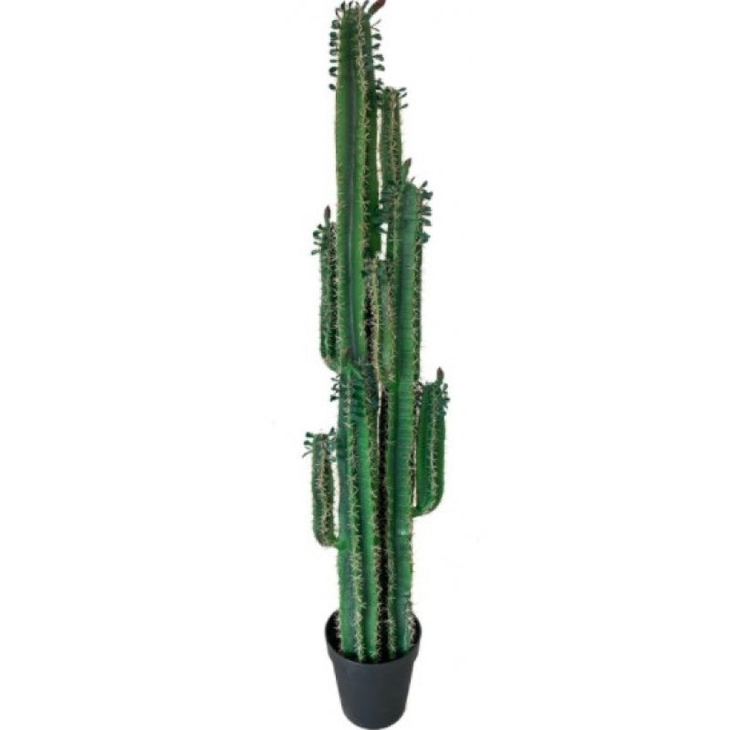 Cactus artificiel 200