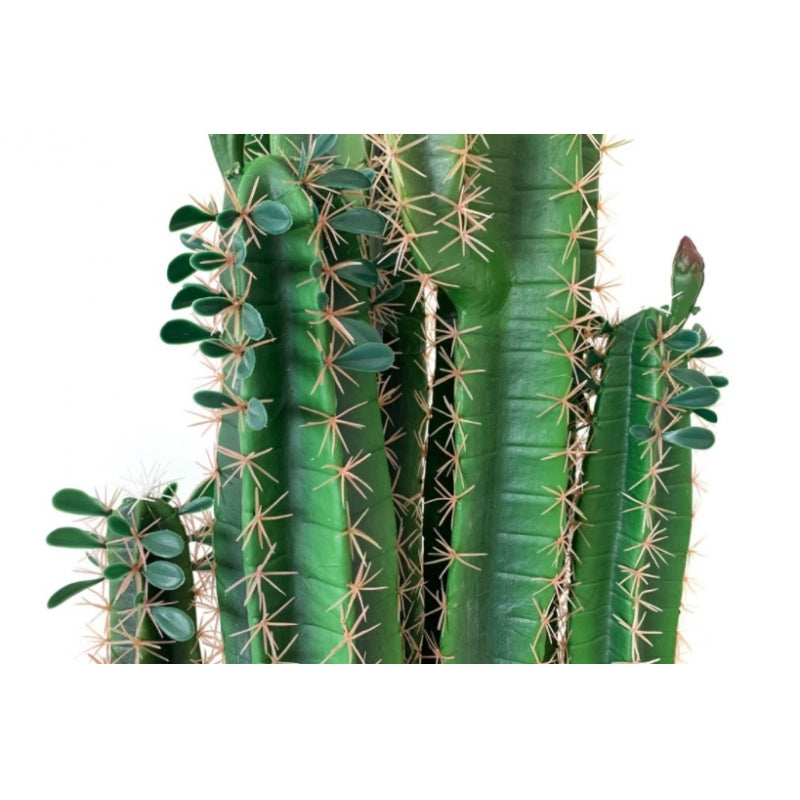 Cactus artificial 200