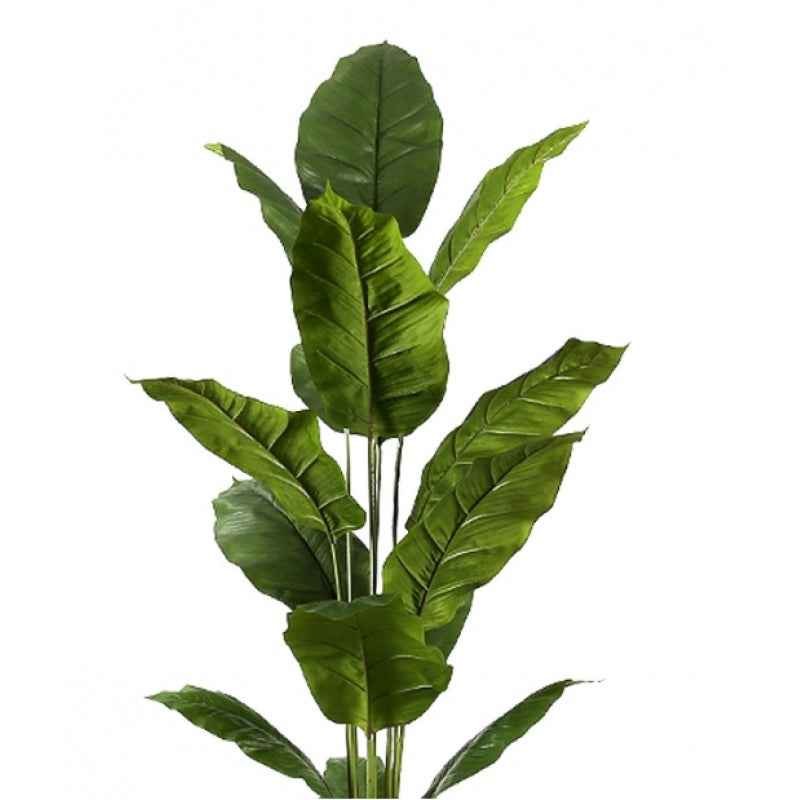 Plante artificielle SPATHIPHYLLUM hauteur 180 cm