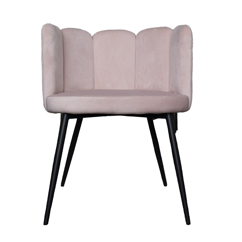 Cadeira de jantar de veludo rosa Turim