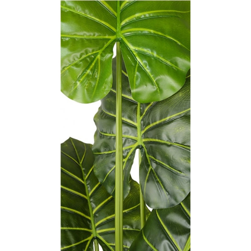 Planta artificial Alocasia árvore altura 210