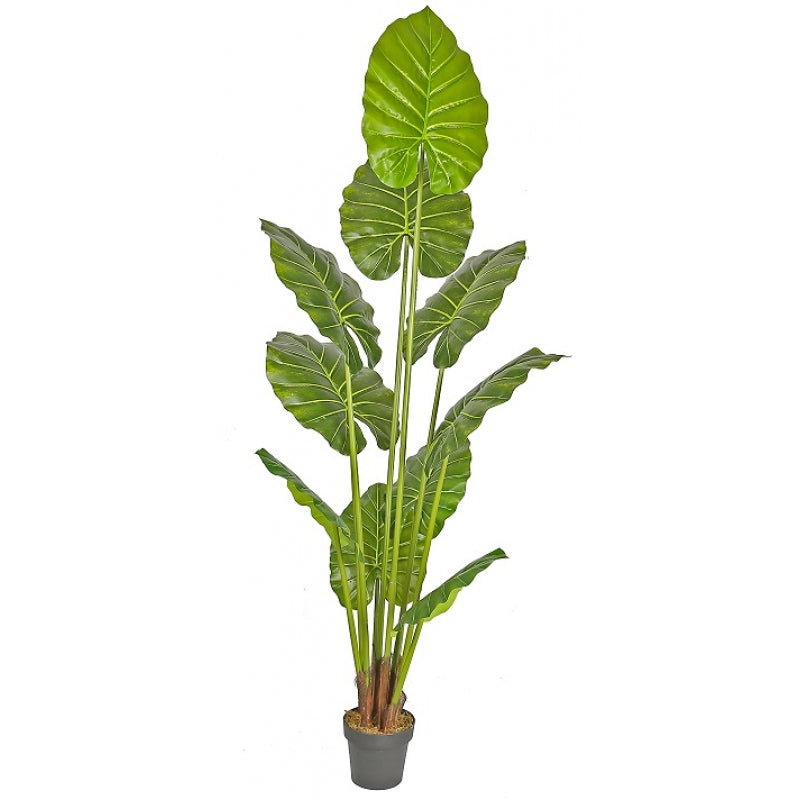 Planta artificial Alocasia árvore altura 210