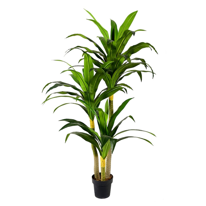 Planta artificial Dracena H180