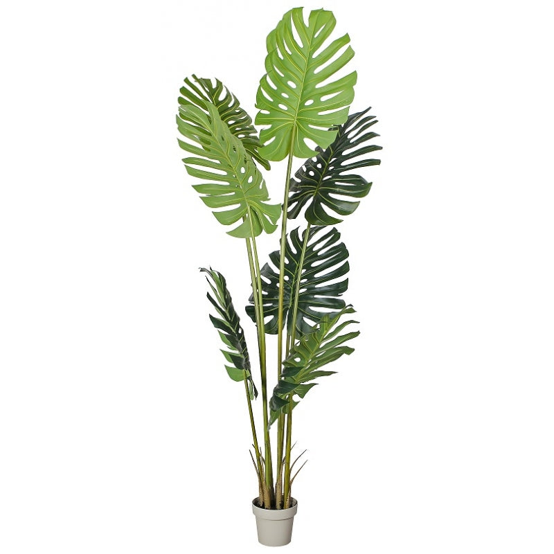 Planta artificial  Monstera Philo 230